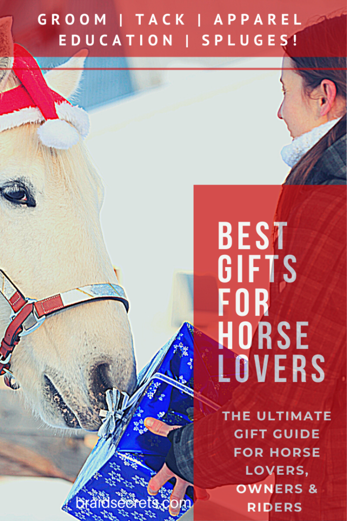 BEST GIFTS FOR HORSE LOVERS | 2020 - Braid Secrets