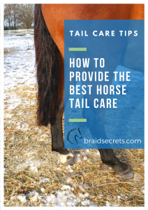 How to Provide the Best Horse Tail Care