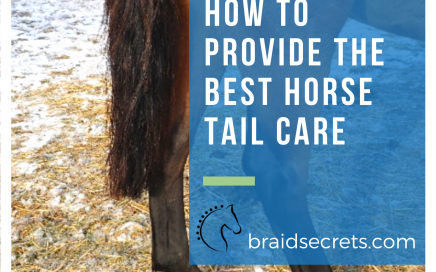How to Provide the Best Horse Tail Care