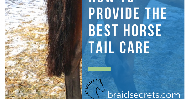 How to Provide the Best Horse Tail Care