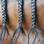 Guide to Braided Horse Manes. Three-stand mane braids on a hunter mane.