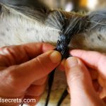 Guide to Braided Horse Manes - Three-strand mane braid