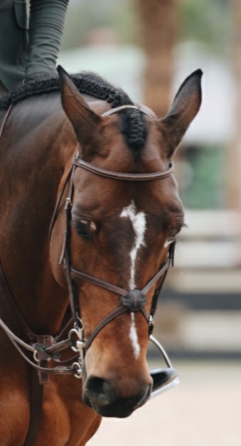 French-braided-forelock-1 - Braid Secrets