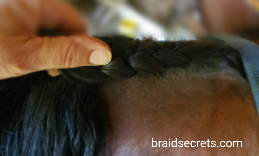 Beginner's Guide to Braided Horse Manes - Running Braid