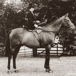 Guide to Braided Horse Manes - History of Braided Horse Manes