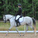 Guide to Braided Horse Manes - Braids by riding discipline or breed standard
