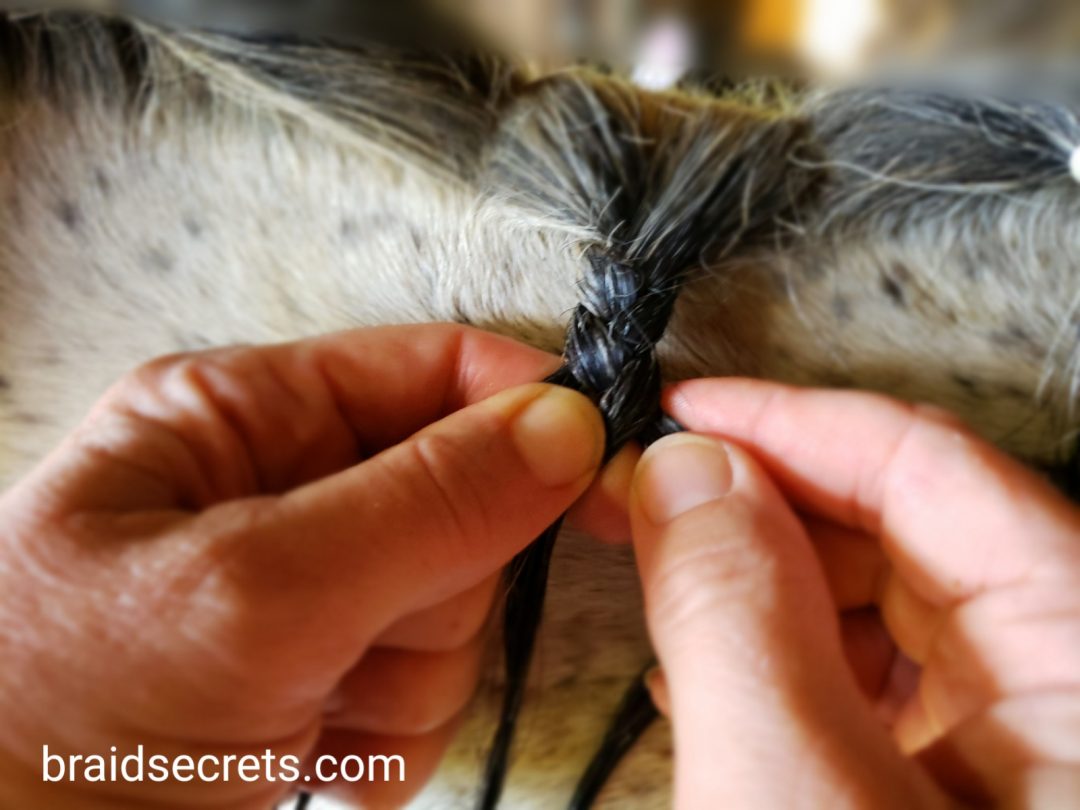 Braided Horse Manes: Start a three strand braid
