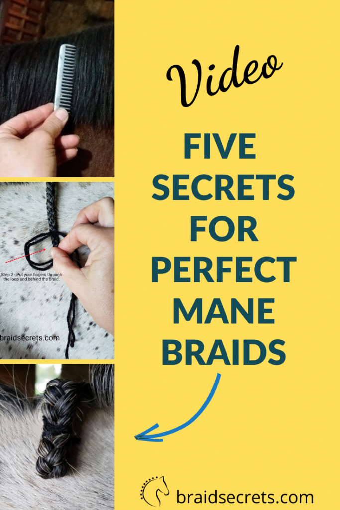 FREE VIDEO &amp; RESOURCE LIBRARY - Braid Secrets