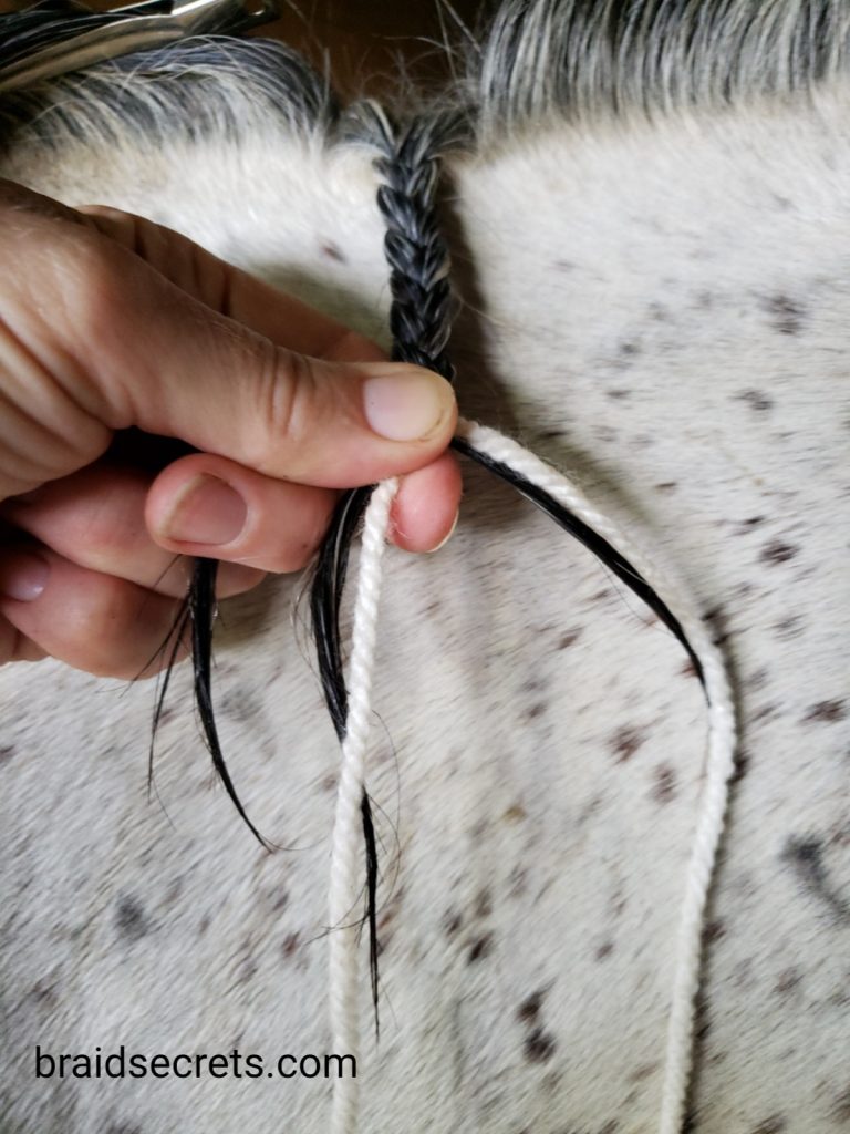 Braided Horse Manes: Start a three strand braid