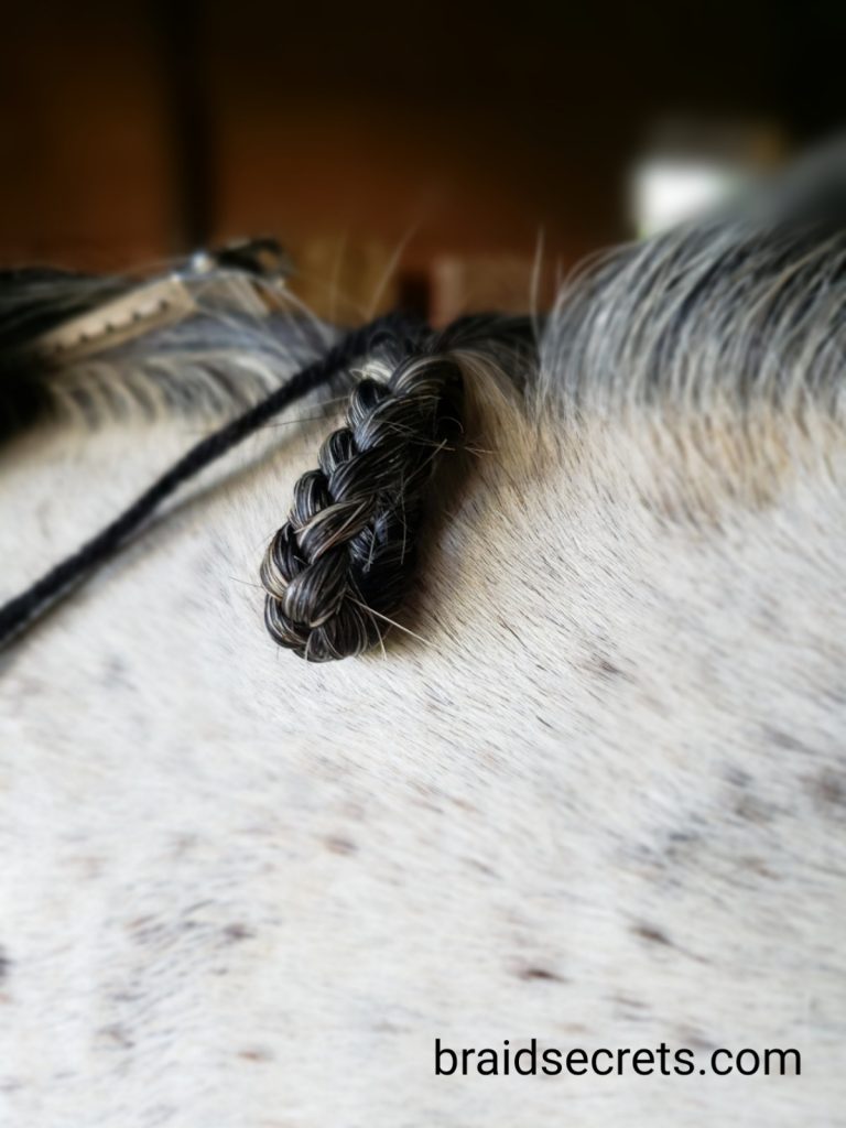 Braided Horse Manes: Pull bottom knot of each braid up just inside the crest.