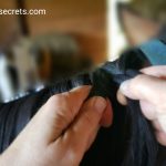 Braided Horse Manes: Takeaways