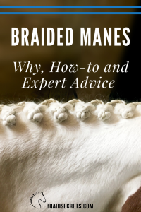 Braided Horse Manes: Why, How-to and Expert Advice