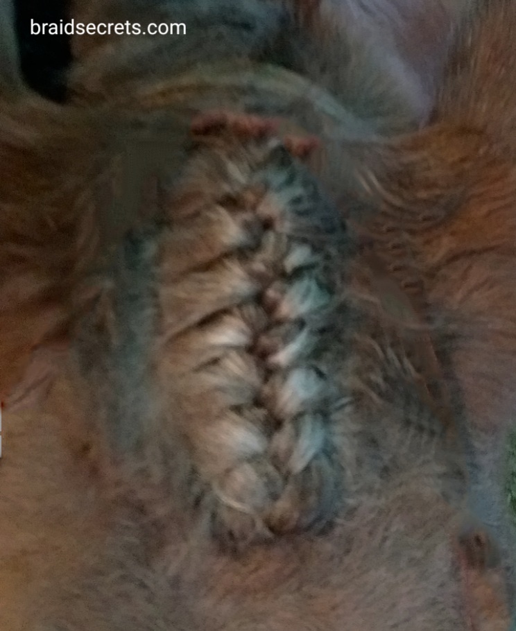 How to French Braid the Forelock