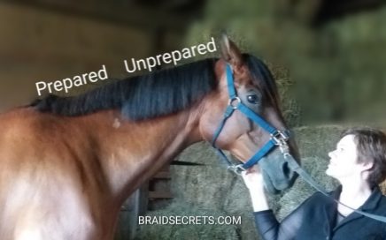 Mane Preparation Tips for Riders