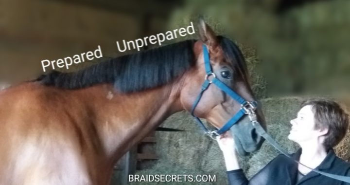 Mane Preparation Tips for Riders