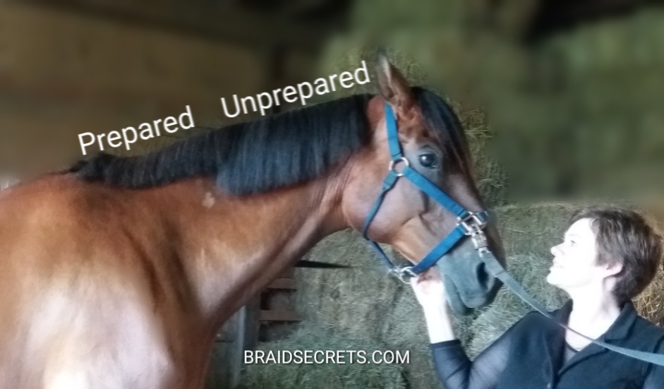 Mane Preparation Tips for Riders