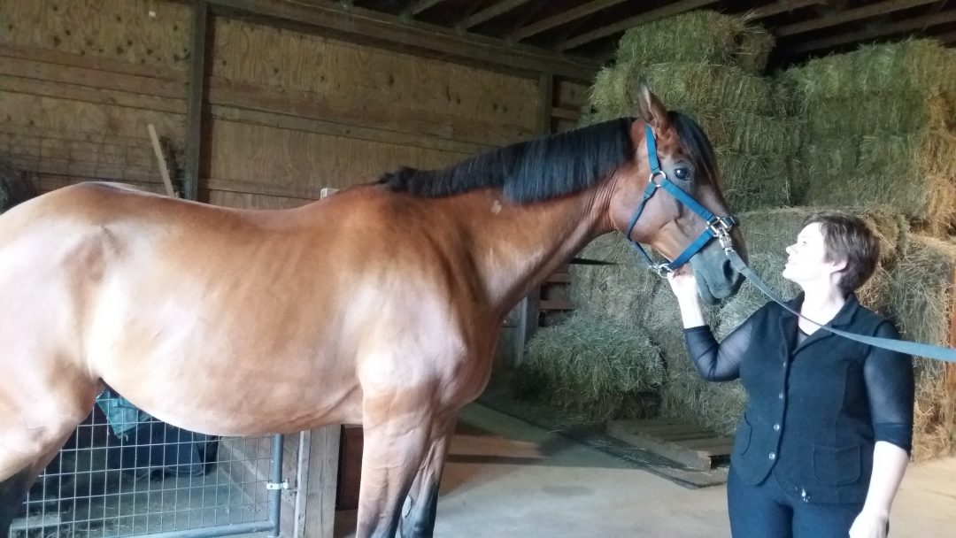 Mane Preparation Tips for Riders