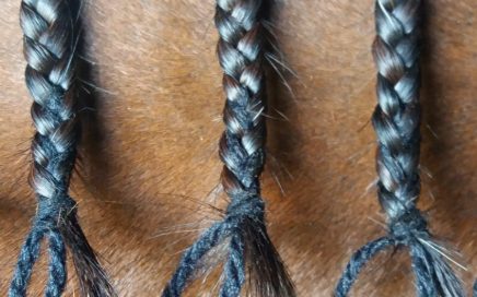 5 Genius Horse Braiding Hacks