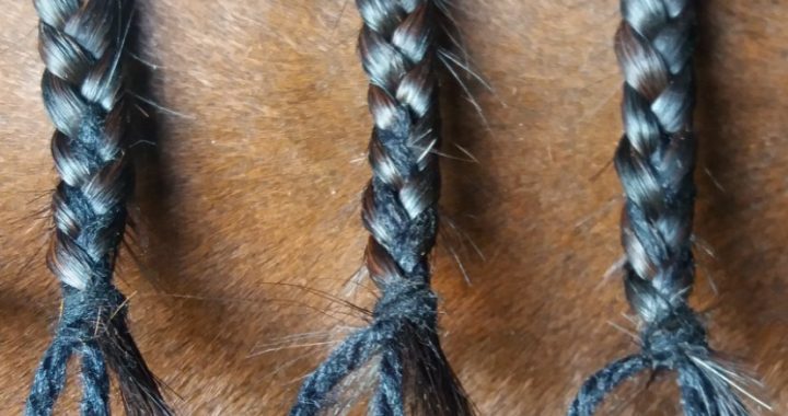 5 Genius Horse Braiding Hacks