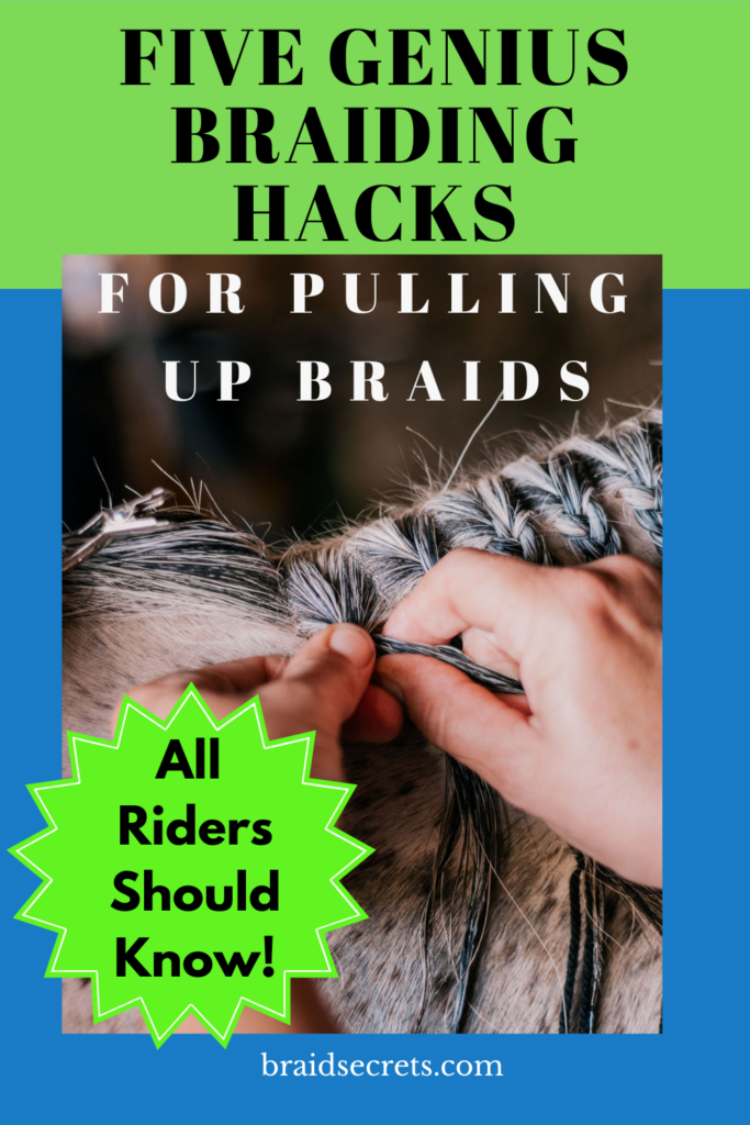 Braided horse manes, expert mane braiding techniques, expert braiding tips, horse mane braiding, horse braids, how to braid a mane, how to braid a mane for a hunter competition, how to do dressage braids, how to braid a horse's mane, hunter braid tutorial, dressage braid tutorial, mane and tail