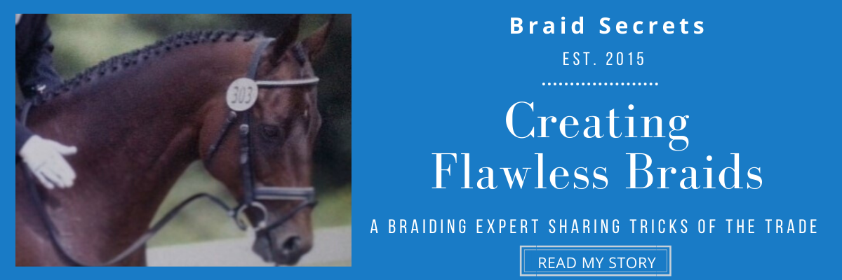 Horse Mane Braiding Tutorials