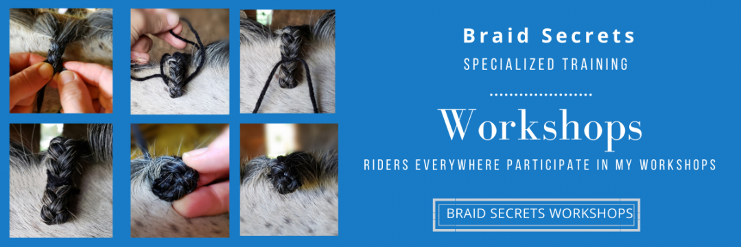Horse Mane Braiding Workshops