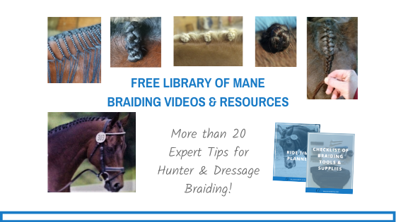 Horse Mane Braiding - Free Resource Library for Riders