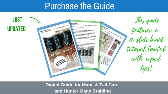 Digital Guide for Hunter Mane Braiding plus Bonus Video