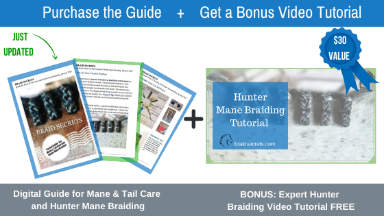 Digital Guide Hunter Mane Braiding + Bonus Expert Video Tutorial