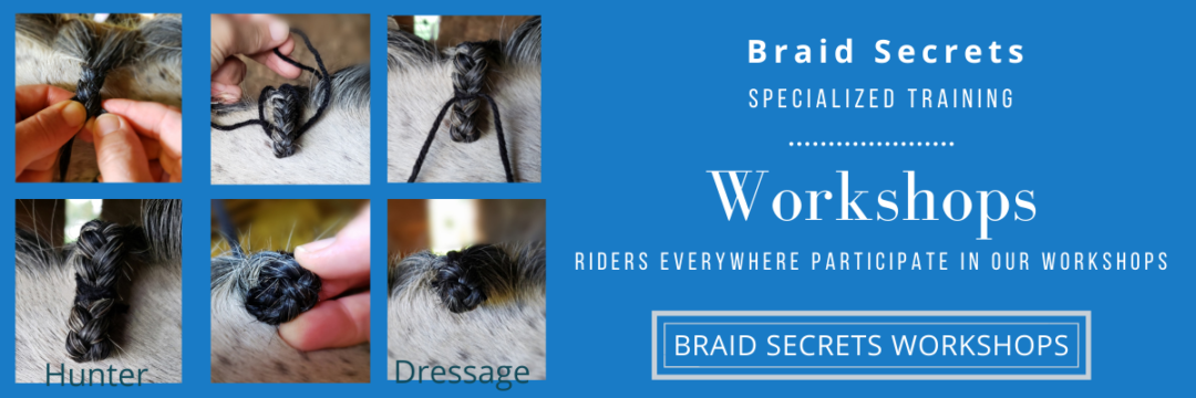 Online Mane Braiding Workshop for Hunter and Dressage Riders