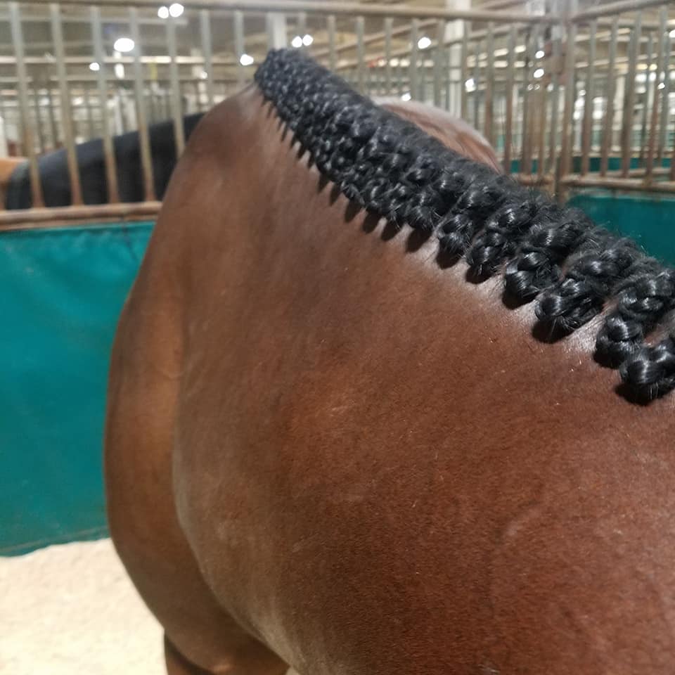 Hunter Braid Testimonials