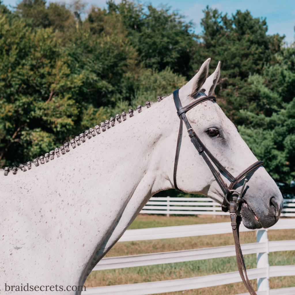 Learn how to braid a hunter mane for competition