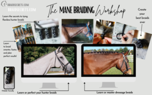 Mane Braiding Workshop for Equestrians