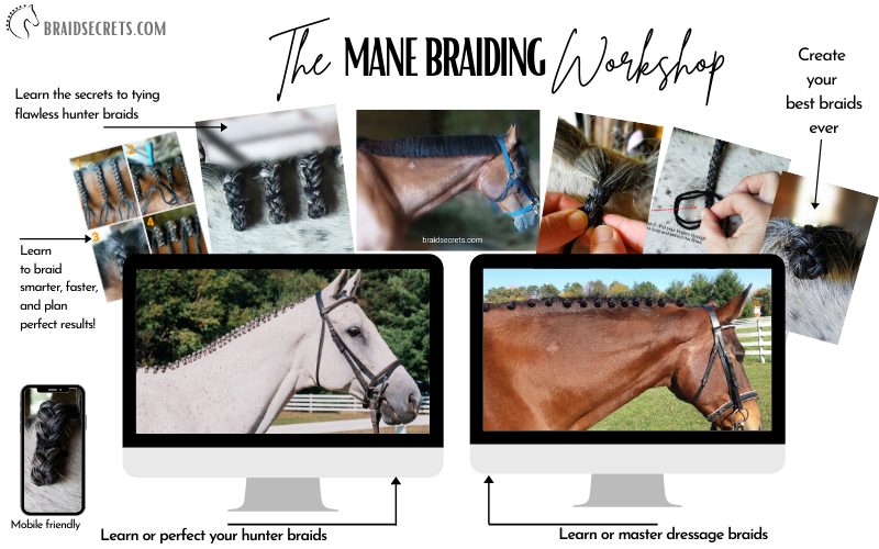 Mane Braiding Workshop for Equestrians