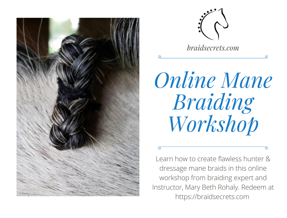 Online Mane Braiding Workshop