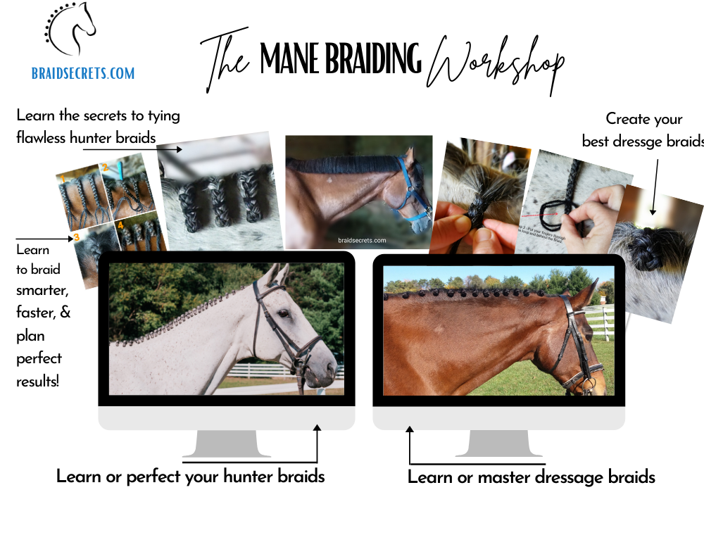 Mane Braiding Worshop Gift Certificate