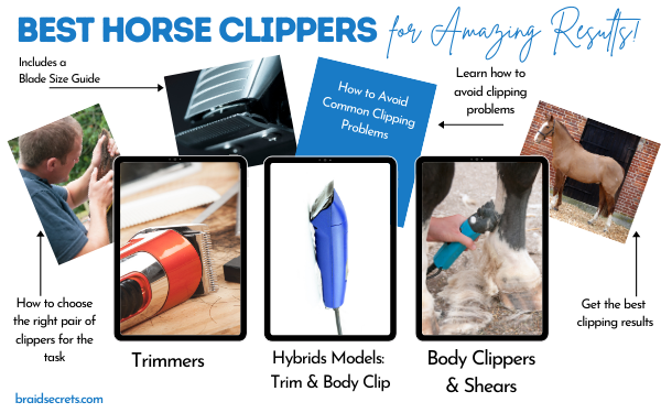 Discover the Best Horse Clippers - Trim, Partial or Body Clip