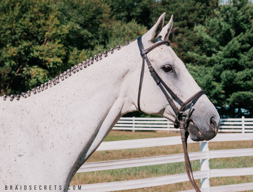Mane Braiding Secrets 5 Tips to Fix Messy Mane Braids, mane braiding tutorial, how to braid a horse's mane for a hunter competition, how to braid a horse's mane for a dressage competition, hunter mane braiding tutorial, dressage mane braiding tutorial, learn how to braid a horse's mane, horse grooming, horsemanship, mane braiding tips, 