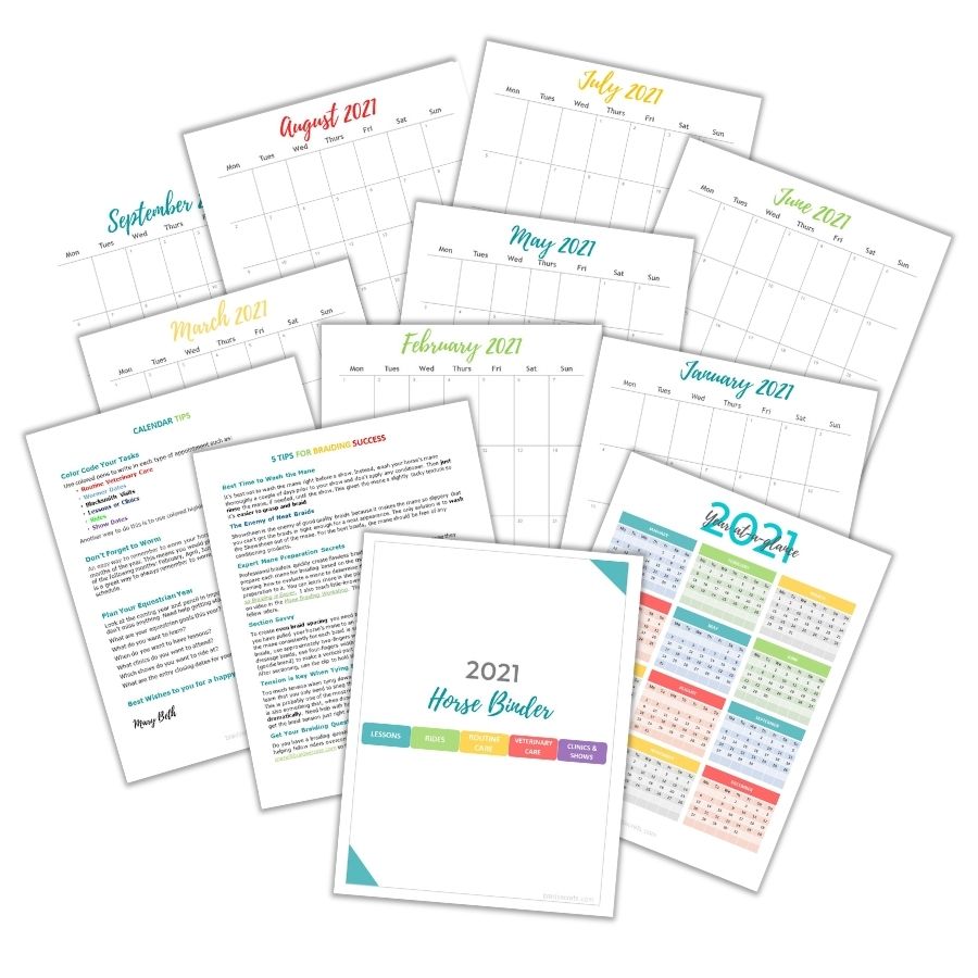 2021 Printable Horse Binder - Braid Secrets