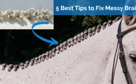 5 Tips to Fix Messy Mane Braids, mane braiding tutorial, how to braid a horse's mane for a hunter competition, how to braid a horse's mane for a dressage competition, hunter mane braiding tutorial, dressage mane braiding tutorial, learn how to braid a horse's mane, horse grooming, horsemanship