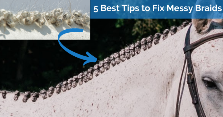 5 Tips to Fix Messy Mane Braids, mane braiding tutorial, how to braid a horse's mane for a hunter competition, how to braid a horse's mane for a dressage competition, hunter mane braiding tutorial, dressage mane braiding tutorial, learn how to braid a horse's mane, horse grooming, horsemanship