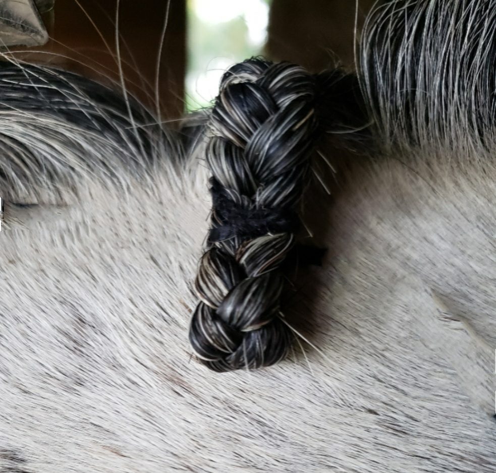 hunter mane braiding