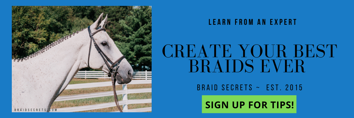 Expert Tips on Mane Braiding, Expert Advice on horse mane braiding, mane braiding tutorials, how to braid a horse's mane for a hunter competition, how to braid a horse's mane for a dressage competition, hunter mane braiding tutorial, dressage mane braiding tutorial, learn how to braid a horse's mane, horse grooming, horsemanship